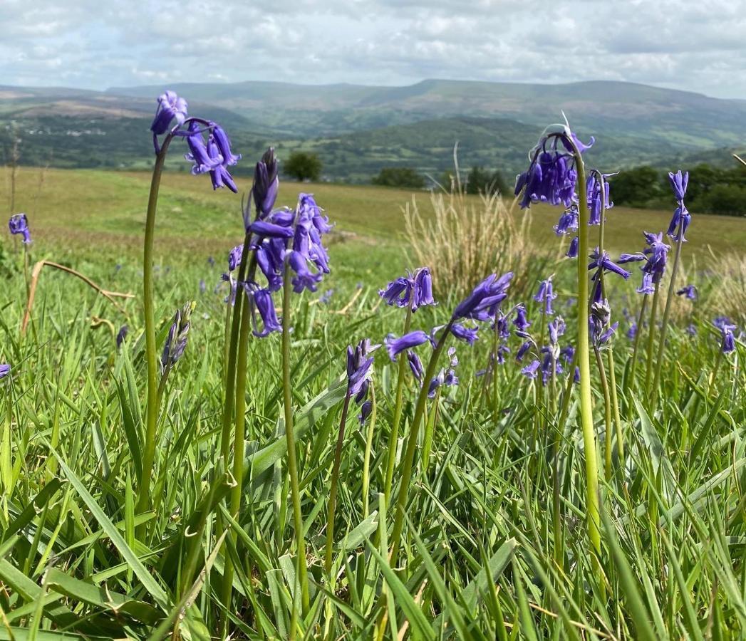 Вілла Pant Llwyd Farm Llangynidr Екстер'єр фото
