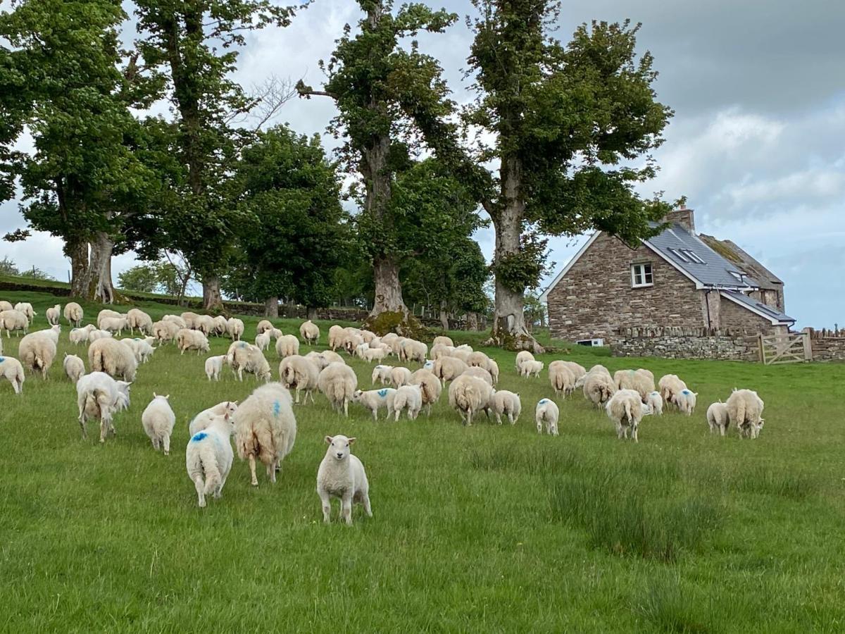 Вілла Pant Llwyd Farm Llangynidr Екстер'єр фото