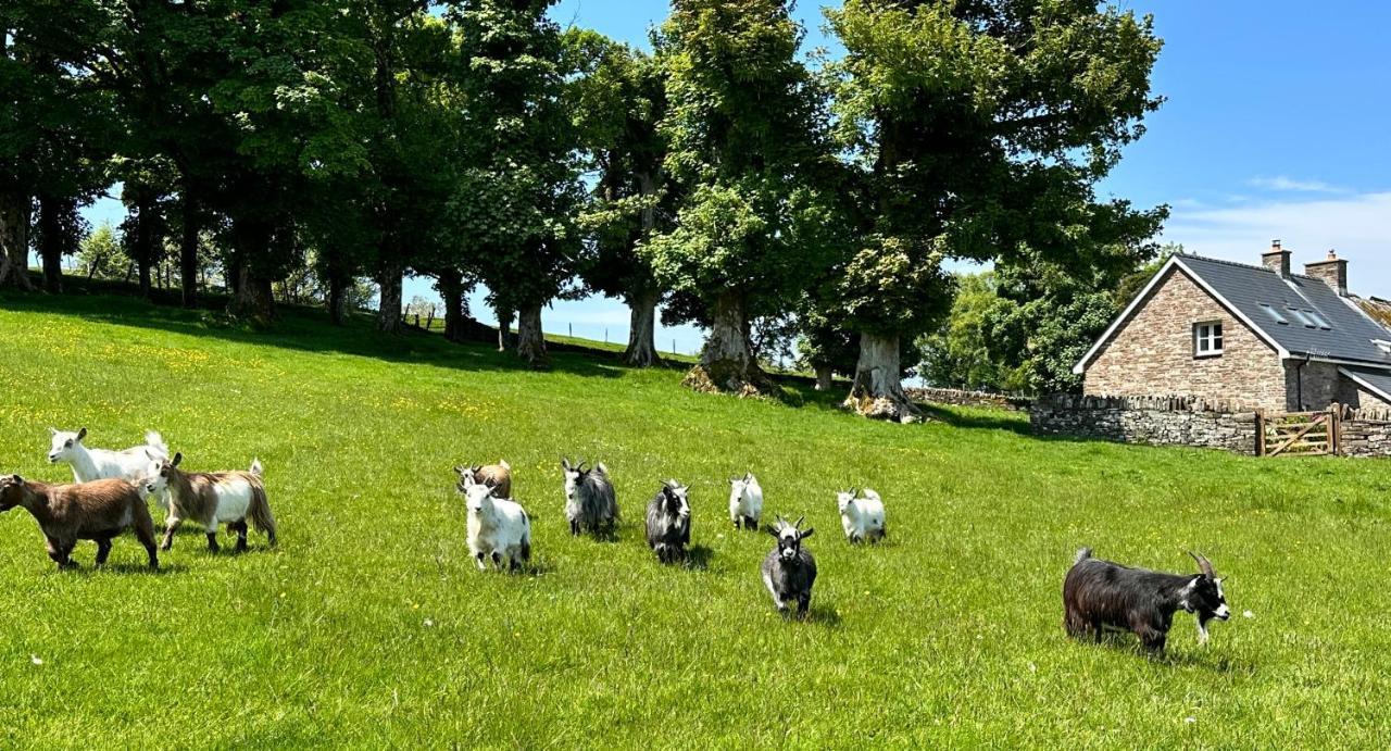 Вілла Pant Llwyd Farm Llangynidr Екстер'єр фото